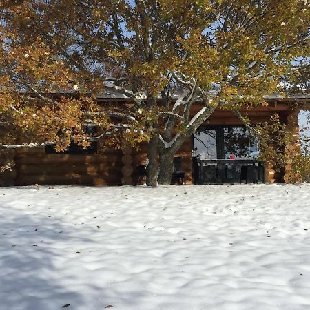 Reves De Bois Villa Loubeyrat Exteriör bild